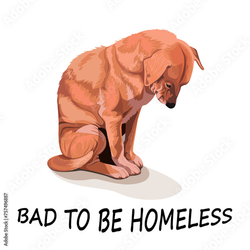 dog on the street, stray