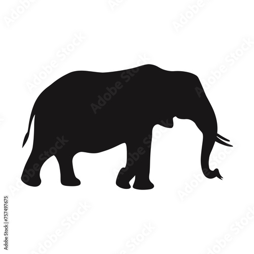 Elephant Silhouette