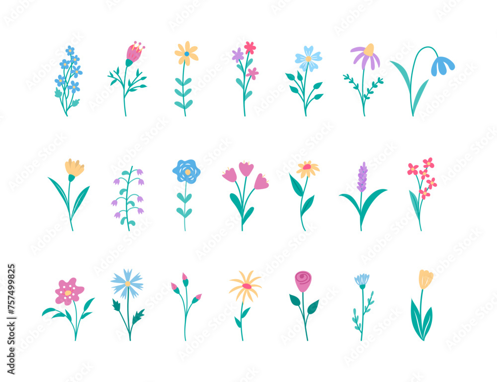 Spring flowers collection of design elements for cards, invitations and baby products. Spring flowers collection of design elements for cards, invitations and baby products.