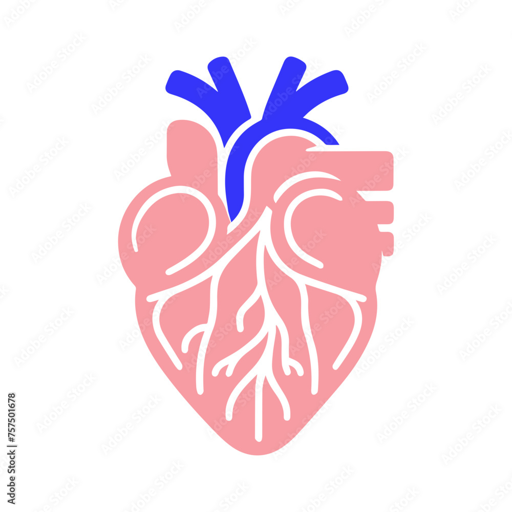 Obraz premium Human heart and Blood flow