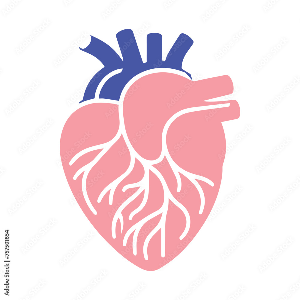 Obraz premium Human heart and Blood flow