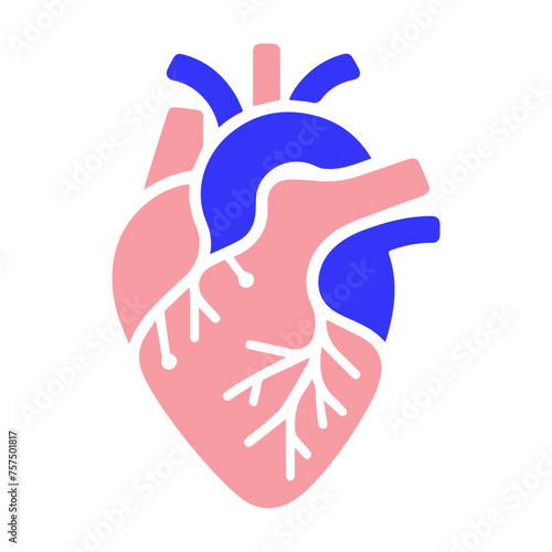 Human heart and Blood flow