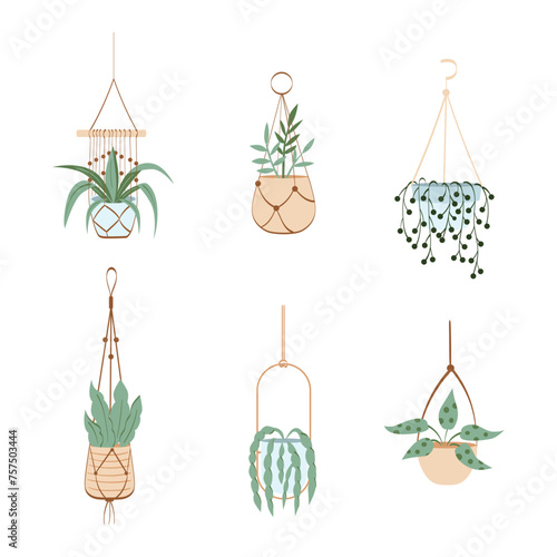 Vector set of decorative hanging houseplants isolated on white background. Bundle of trendy macrame hangers for plants growing in pots