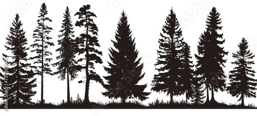Forest trees silhouette. design template for logo, badges. Isolated white background. photo