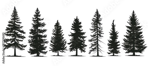 tree silhouettes on white background. illustration.