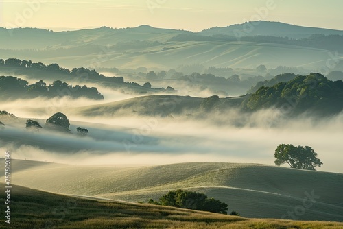 Tranquil Morning Mist Over Rolling Hills photo