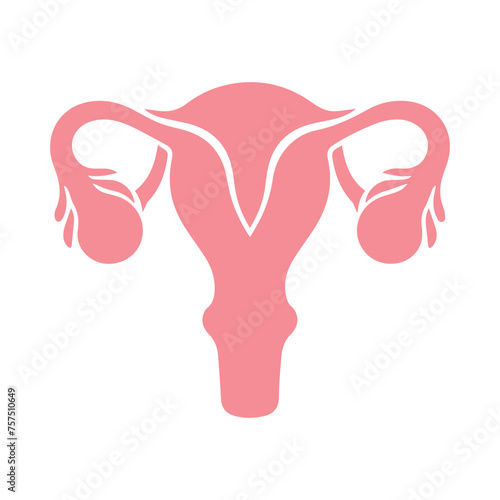 Uterus organ  icon