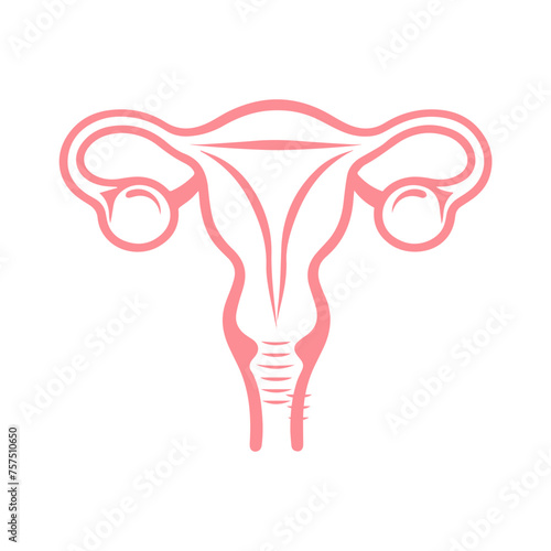 Uterus organ  icon