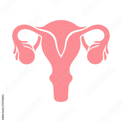 Uterus organ  icon