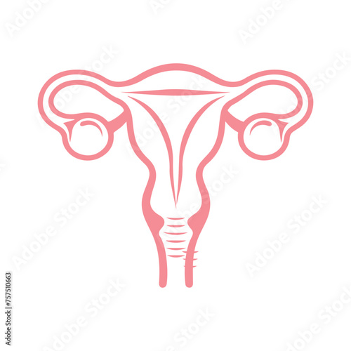 Uterus organ  icon
