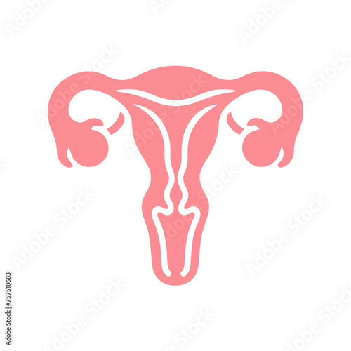 Uterus organ  icon