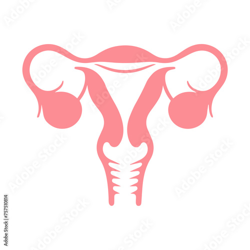 Uterus organ  icon