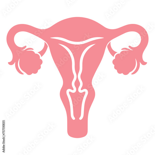 Uterus organ  icon