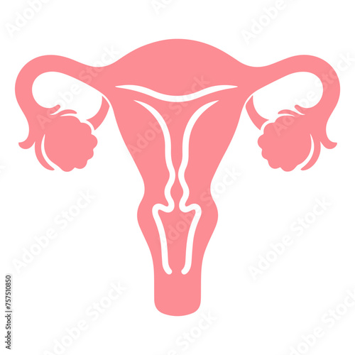 Uterus organ  icon