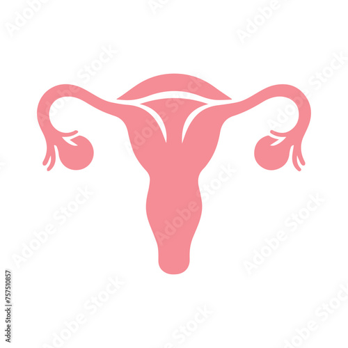 Uterus organ  icon