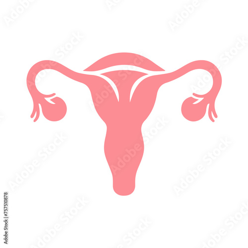 Uterus organ  icon