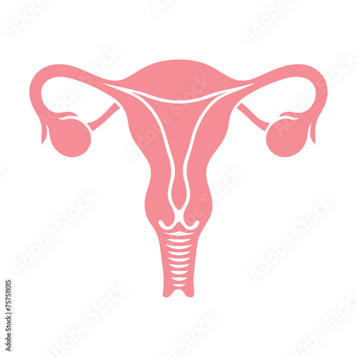 Uterus organ  icon