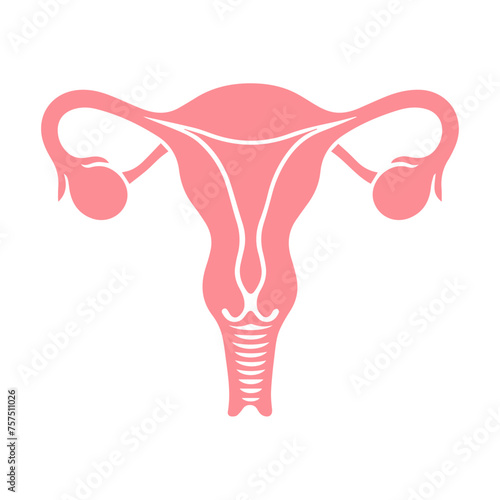 Uterus organ  icon