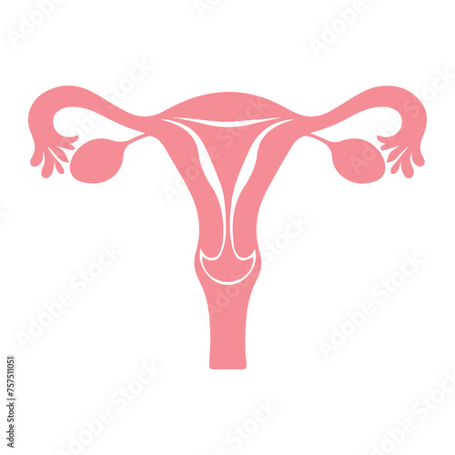 Uterus organ  icon