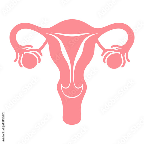 Uterus organ  icon