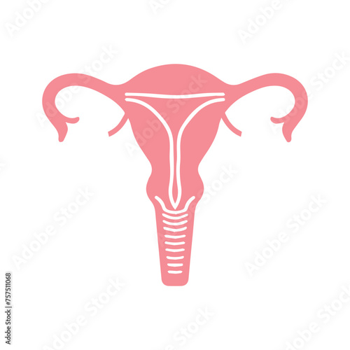 Uterus organ  icon