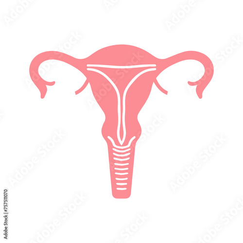Uterus organ  icon