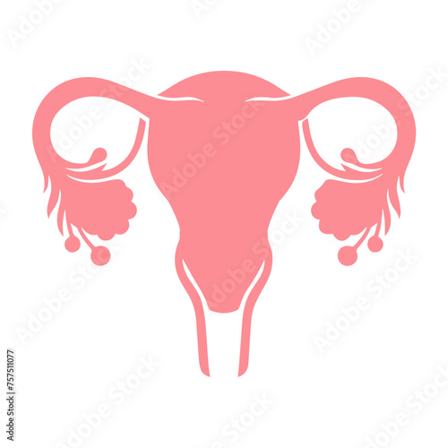 Uterus organ  icon photo