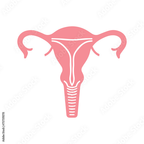 Uterus organ  icon