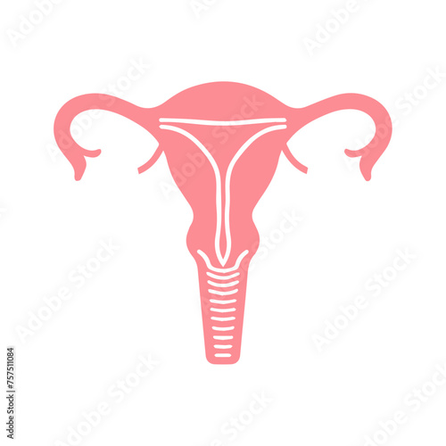 Uterus organ  icon