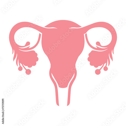 Uterus organ  icon