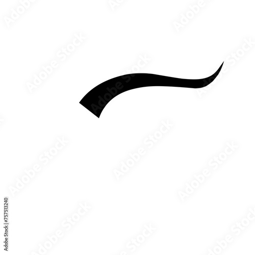 Calligraphic swoosh tail