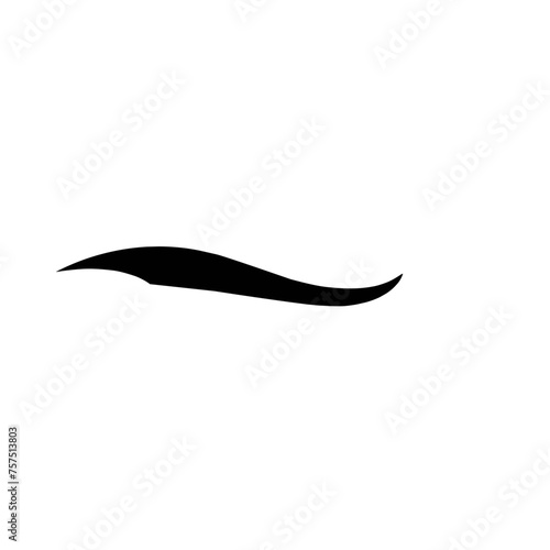 Calligraphic swoosh tail