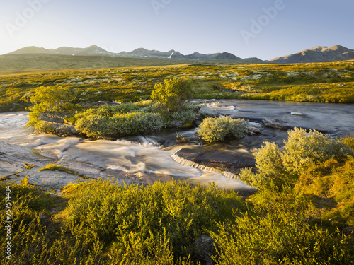 Fluss Store Ula  Spranghaugen  Rondane Nationalpark  Oppland  Norwegen