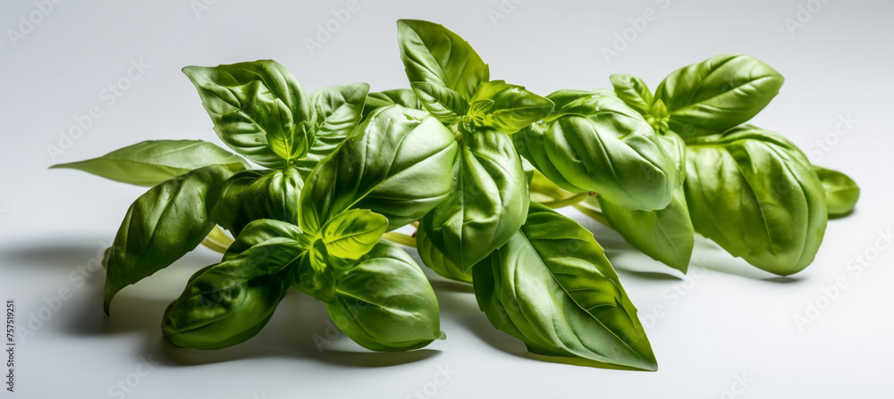 seasoning herb fresh leaves basil isolated on transperent background сreated with Generative Ai