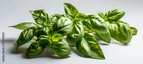 seasoning herb fresh leaves basil isolated on transperent background   reated with Generative Ai
