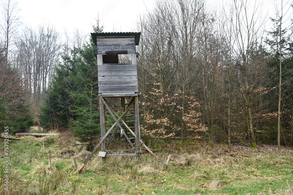 Hochsitz im Wald Hochsitz im Wald