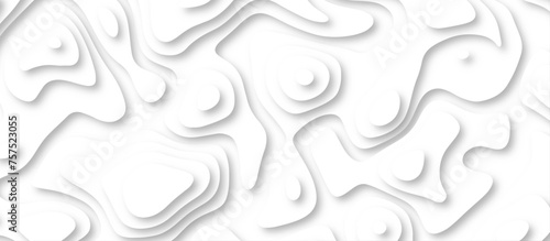 3d render, abstract white paper background. Paper cut vector art background banner texture. multi layer cutout geometric pattern on vector, Abstract soft white background with waves.