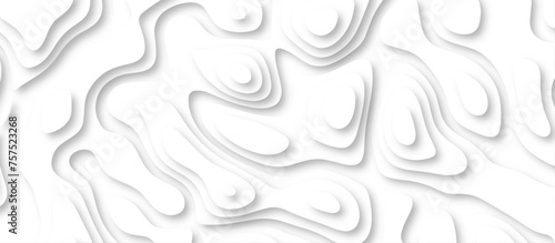 3d render, abstract white paper background. Paper cut vector art background banner texture. multi layer cutout geometric pattern on vector, Abstract soft white background with waves.