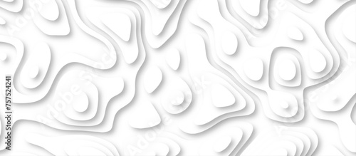 3d render, abstract white paper background. Paper cut vector art background banner texture. multi layer cutout geometric pattern on vector, Abstract soft white background with waves.