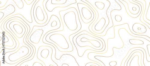 abstract golden wave paper curved reliefs background. Topography map pattern, Geographic curved, vector illustration. seamless textrue, vintage waves. Panorama view multicolor wave curve line.