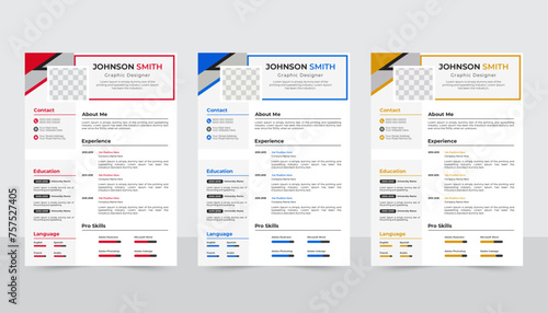 Professional CV resume template design
