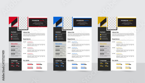 Clean modern design template of resume or CV, vector illustration, Professional Resume, CV Template Design,