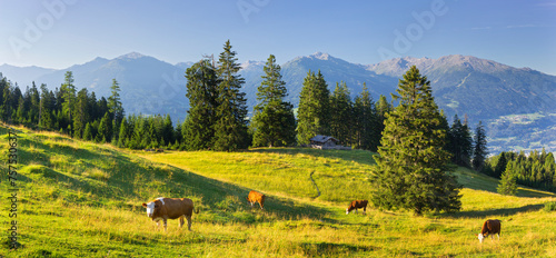 Blick von der Walder Alm ins Inntal und zu den Tuxer Alpen, Jagdhütte, Kühe, Tirol, Österreich photo