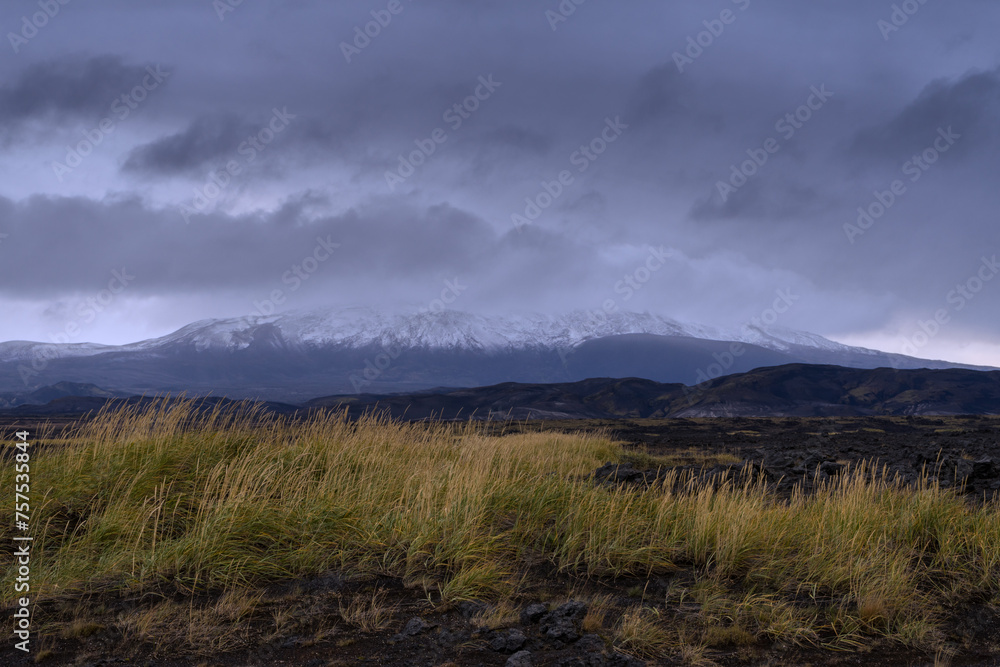 Icelandic landscape with tall grass in a cloudy day