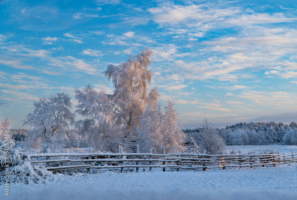 krajobraz wiejski zimą - obrazy, fototapety, plakaty 