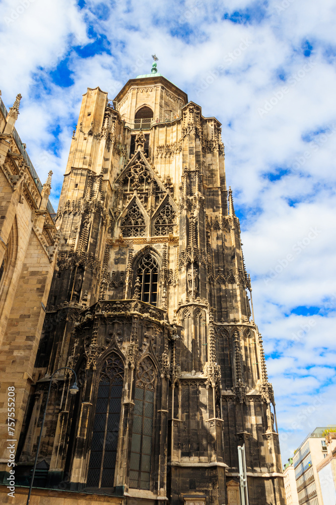 Fototapeta premium St. Stephen's Cathedral in Vienna, Austria