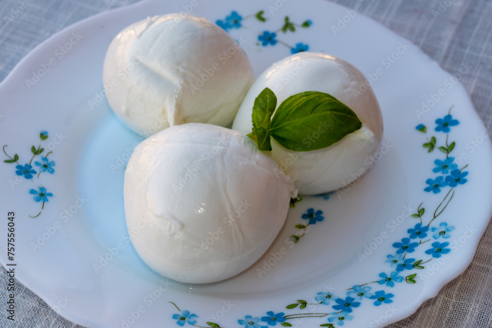 Cheese collection, white balls of soft Italian cheese mozzarella, served with olive oil, fresh basil leaves