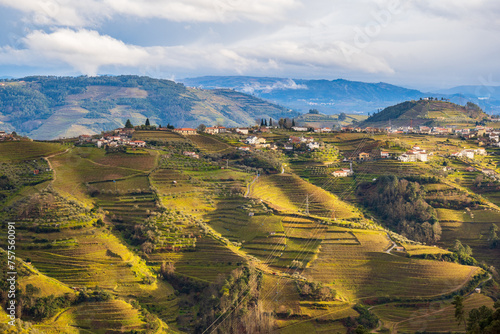 View of the Douro valley with the vineyards of the terraced fields, Portugal
