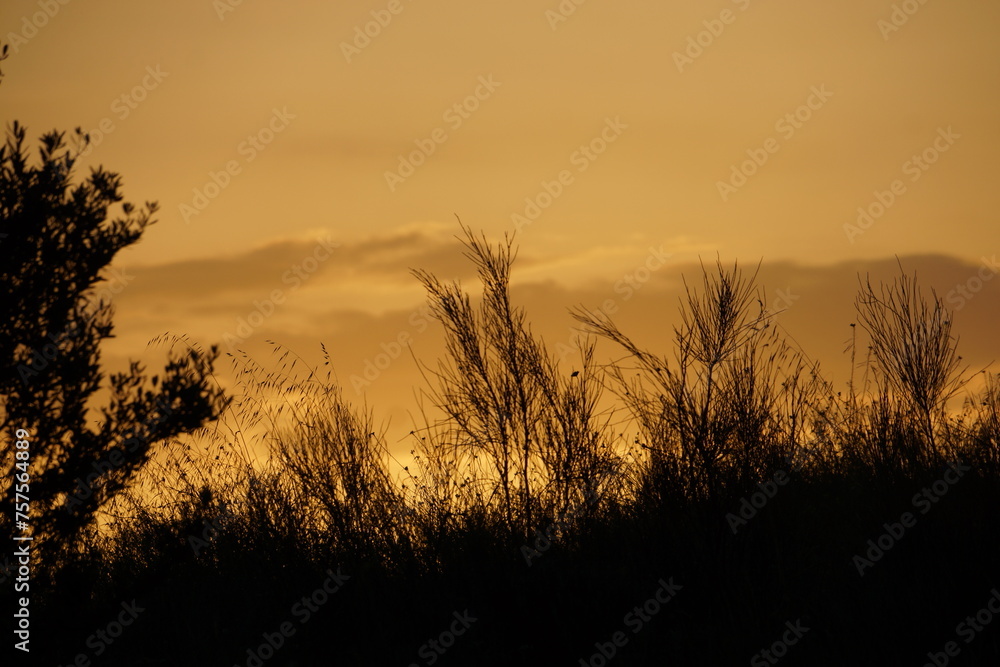 couchée de soleil Algérie le 28 avril 2018 couchée de soleil Algérie le 28 avril 2018