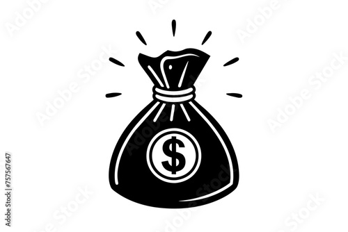 Money bag